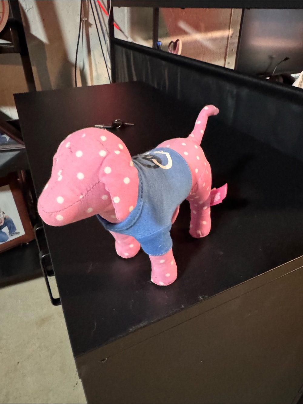 PINK Victoria's Secret Pink Polka Dot Plush with Blue Tee